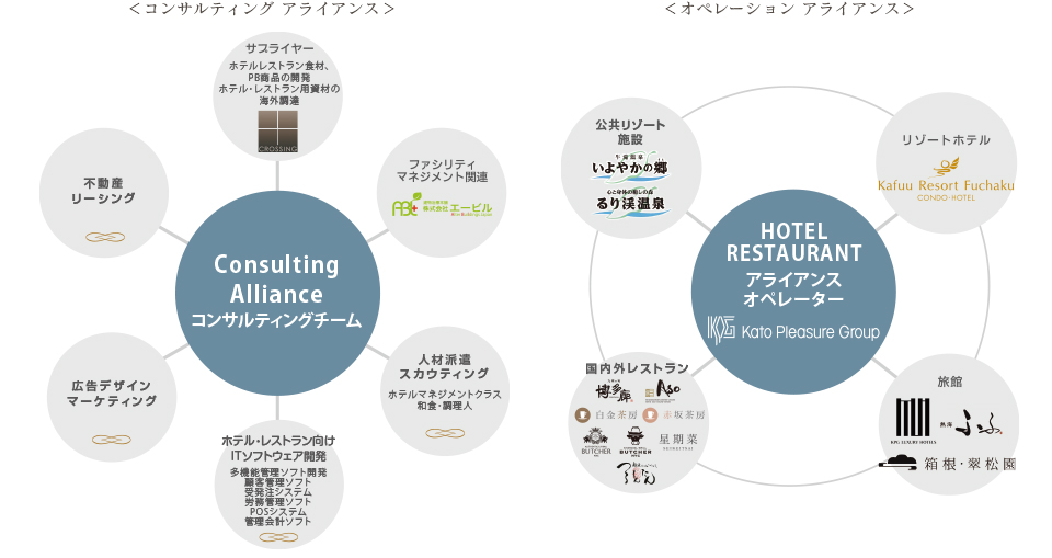 コンサルティング アライアンス/オペレーション アライアンス