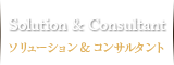 solution&consultant　ソリューション＆コンサルタント